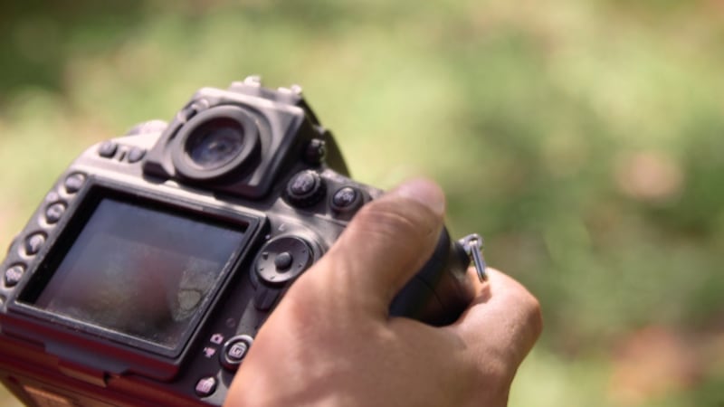 Fifteenth Circuit Solicitor Jimmy Richardson said a case like this could end up in both civil...