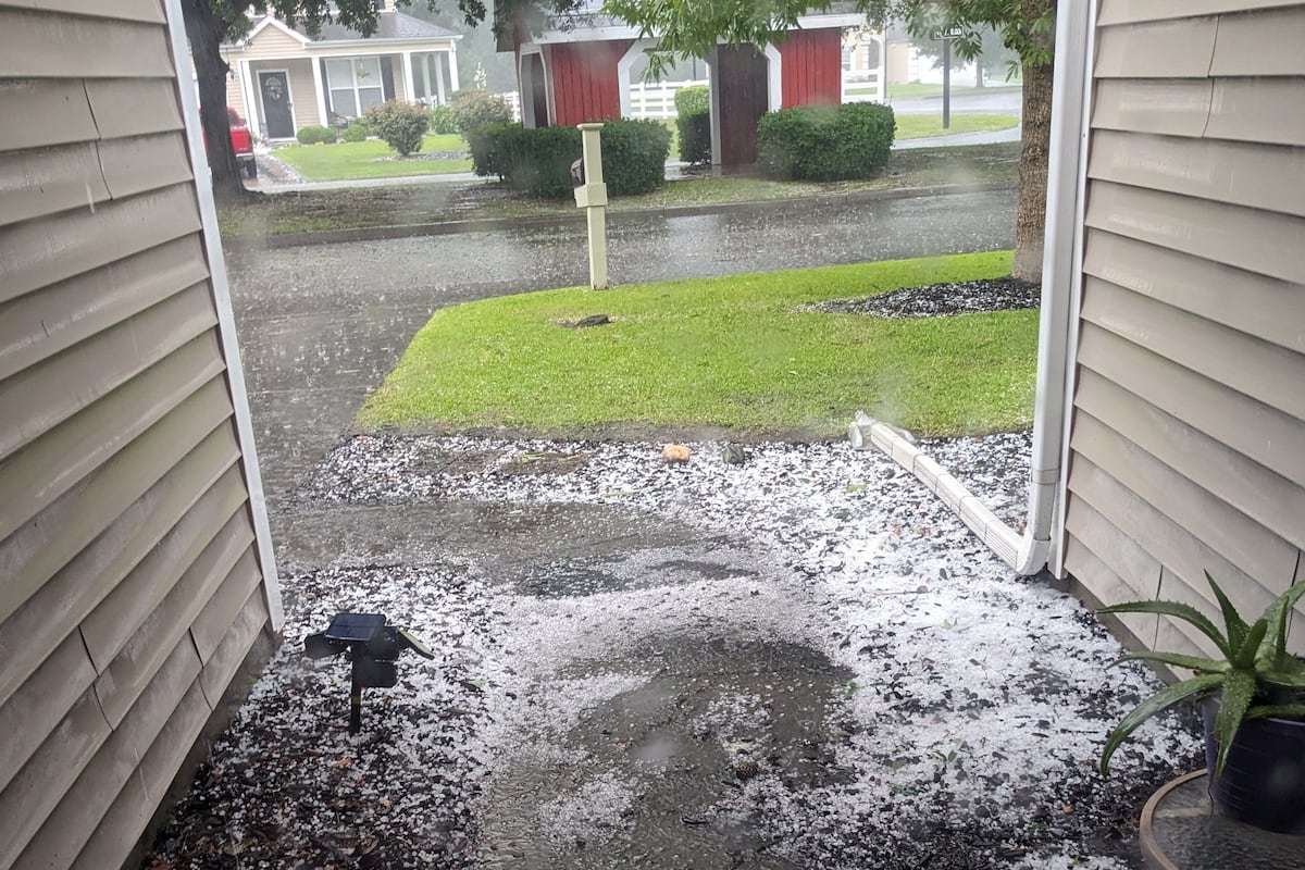 preloaded gallery image