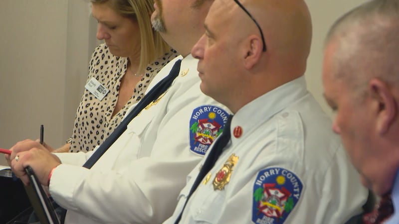 The Horry County Mental Health Committee met on Friday to map out specific projects to address...