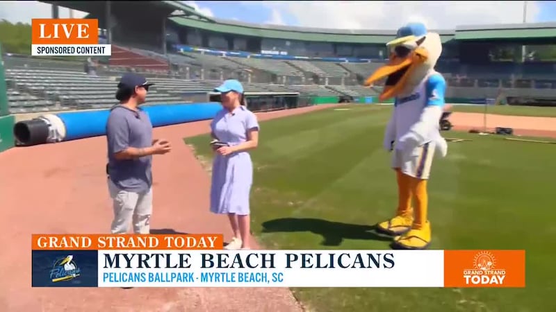 Myrtle Beach Pelicans (sponsored show)