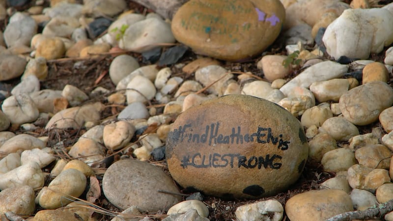 It's been nearly ten years since Heather Elvis disappeared from Horry County. Her family...