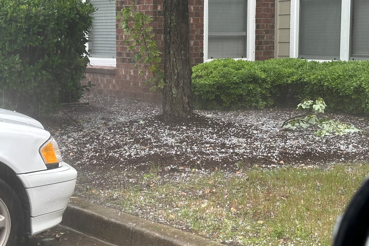 preloaded gallery image