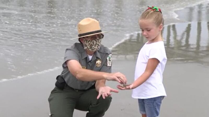 Myrtle Beach State Park Ranger Ann Wilson is a community champion for the work that she has...