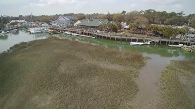 Murrells Inlet Marshwalk
