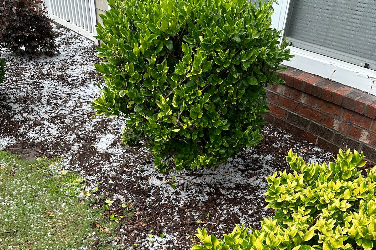 preloaded gallery image