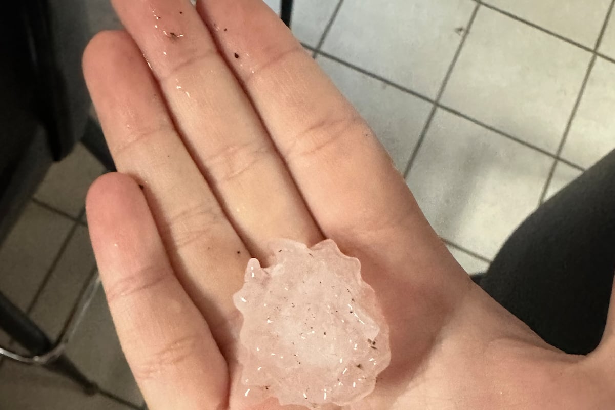 preloaded gallery image