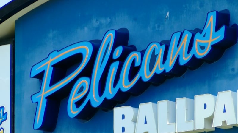 Baseball is back as the Myrtle Beach Pelicans open its 25th season at the ballpark Friday night.