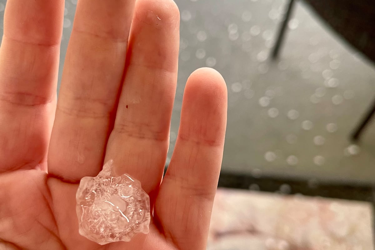 preloaded gallery image