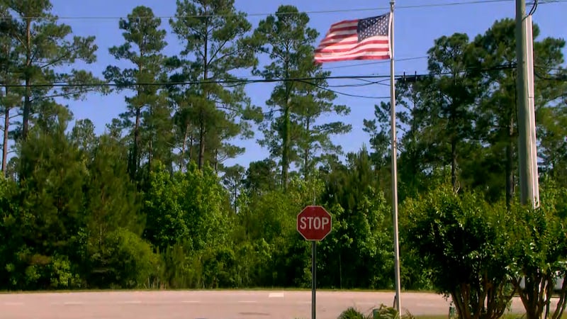 The park would sit on almost 100 acres off of Highway 905.