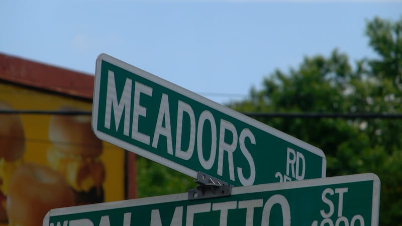 Car fight turns deadly and leaves 2 people dead on Meadors Road in Florence County.