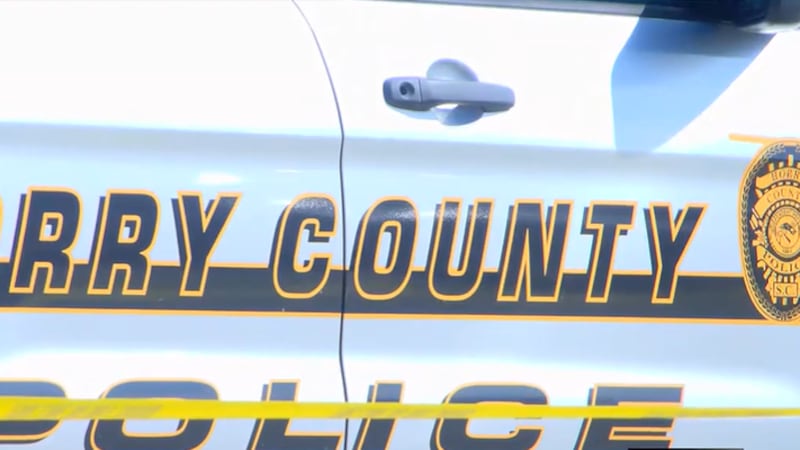 Horry County Police Car