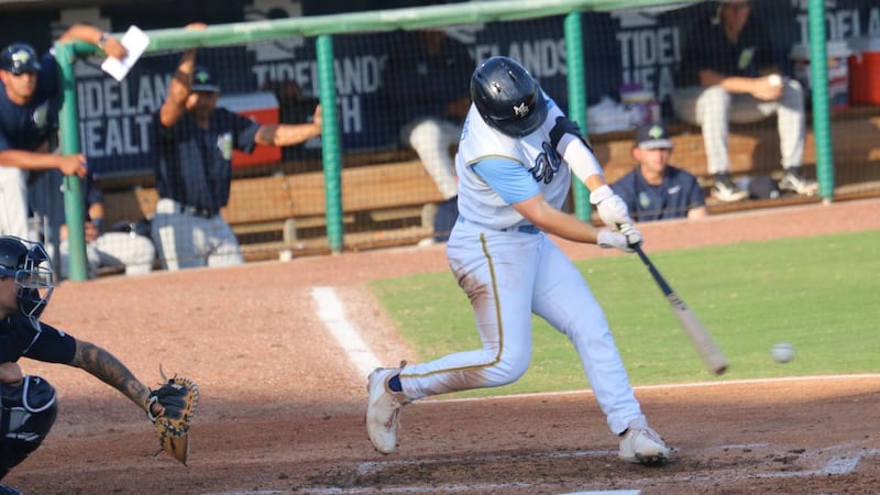 Myrtle Beach Pelicans.