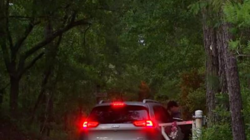 limited details for wooded area search